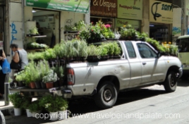 herb & plant car in Athens