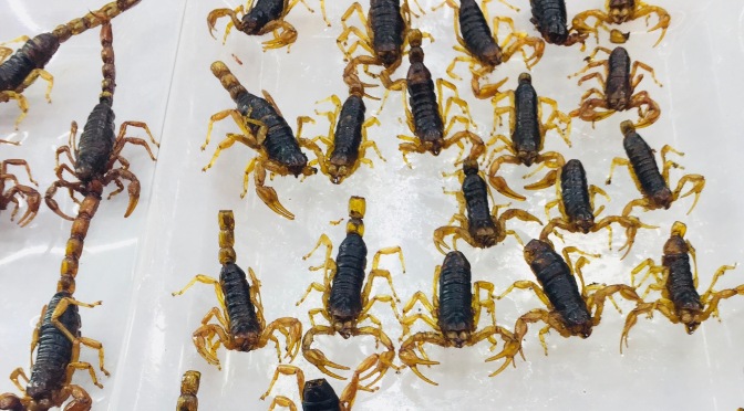 Insects return to Mexican menus